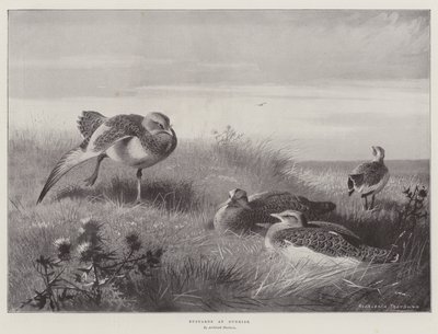 Trapper ved solopgang af Archibald Thorburn